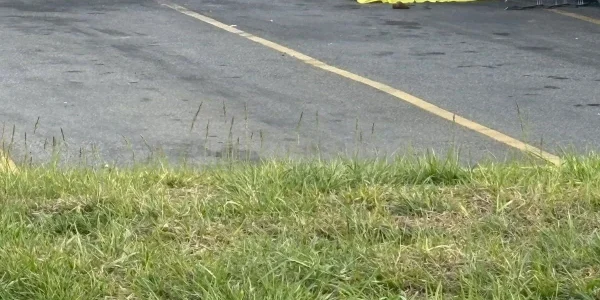 487308046 1536800813944170 8767526160175037058 N