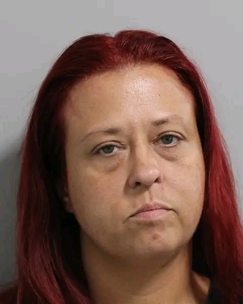 Christdoin Reese Arrested After Allegedly Striking Woman with Volkswagen Jetta Near Auburndale Circle K Gas Station