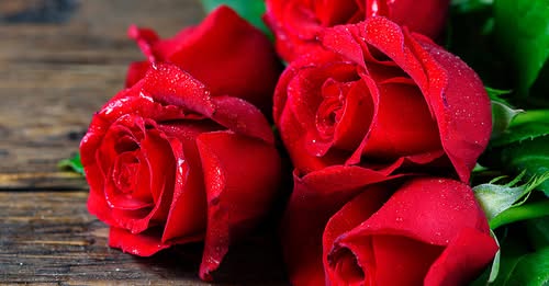 Graham Spearman Spokane River Obituary Death