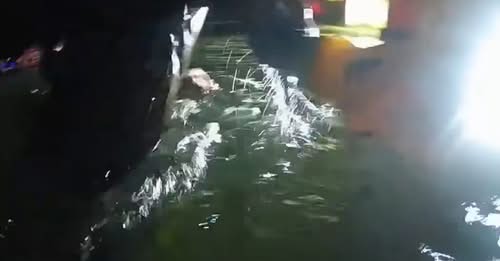 Tragic Loss of Unnamed 2-Year-Old Boy in Wolf Lake Submersion: Michigan State Police Troopers Dushane and Ciroski Commended for Heroic Rescue Efforts in Egelston Township