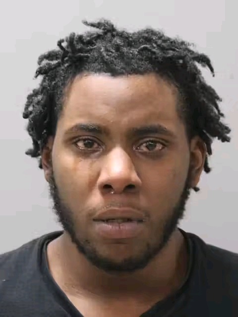 Tajanae Stephens: Chicago, Illinois, Mourns the Tragic Death of 22-Year-Old Woman Killed in South Essex Avenue Gun Incident on May 10, 2025, as Nashawn Ware Faces Manslaughter Charges, Sparking Community Calls for Gun Safety and Mental Health Support