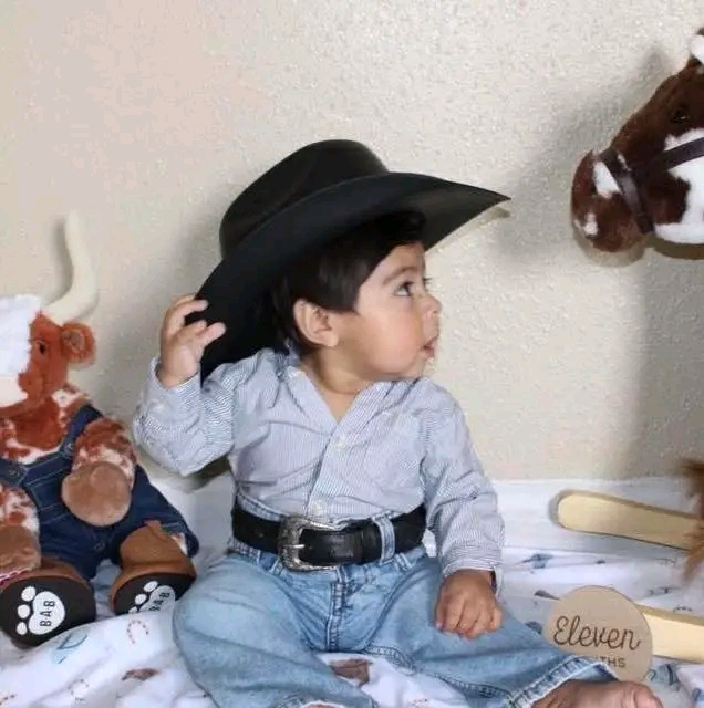 Daniel Luna: Houston Mourns the Heartbreaking Loss of Beloved 11-Month-Old Struck by Drunk Driver