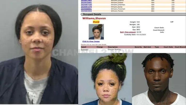 Chicago — Authorities in Chicago have arrested two individuals in connection with an alleged