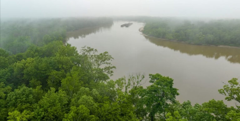 Baldwin County, Alabama boating accident critically injures Bay Minette man and family during tragic river incident