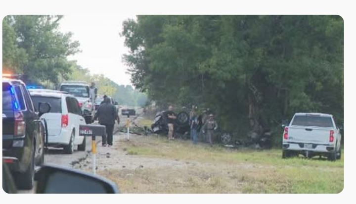 Jefferson County authorities investigate fatal Highway 124 crash after Houston man dies in vehicle rollover