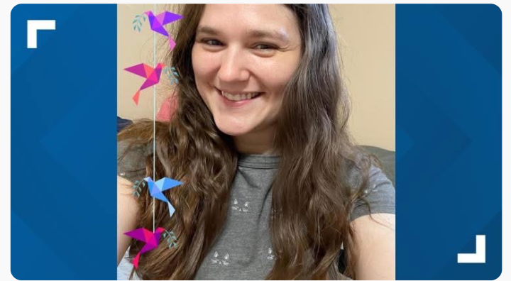 Belleville, Illinois Hit-and-Run Crash Claims Life of Emily Johnson, Community Mourns Tragic Loss