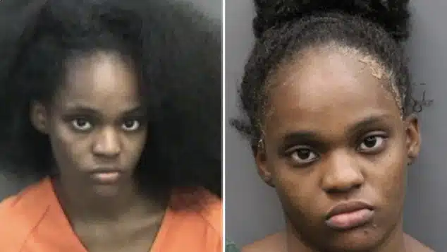 Valrico, Florida – Authorities have confirmed the arrest of Shaniece Willingham, a mother accused of attempting to drown her three young children in a disturbing and deeply troubling incident that has shaken the community