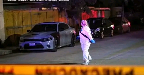 Baja California Discovery of Aracely Romero Acevedo’s Body Sparks Binational Murder Investigation and Grief