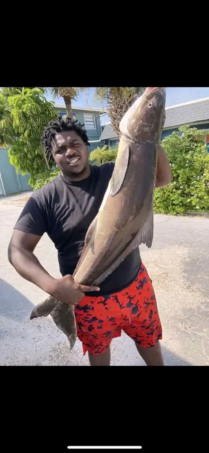 MIAMI, FL — Reggie Fishmon, Beloved Community Leader and Friend Passes Unexpectedly Today