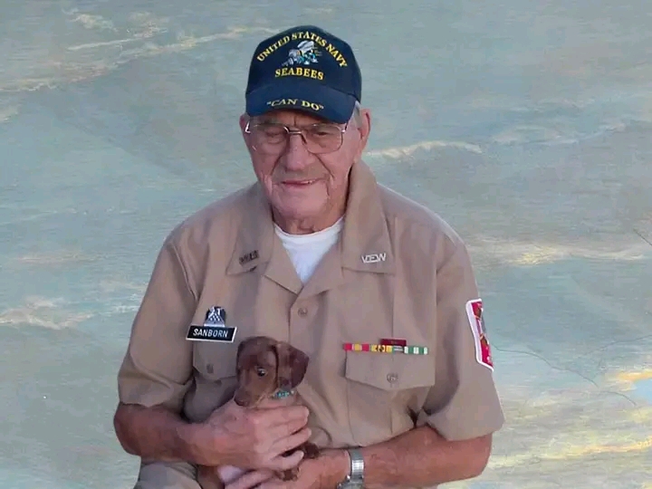 Russellville, AR – George Sanborn Dies in Hit-and-Run Incident on Highway 326