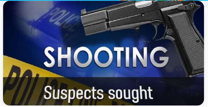 Bath Township Airbnb Party Shooting Injures Nine Juveniles Early Sunday Morning