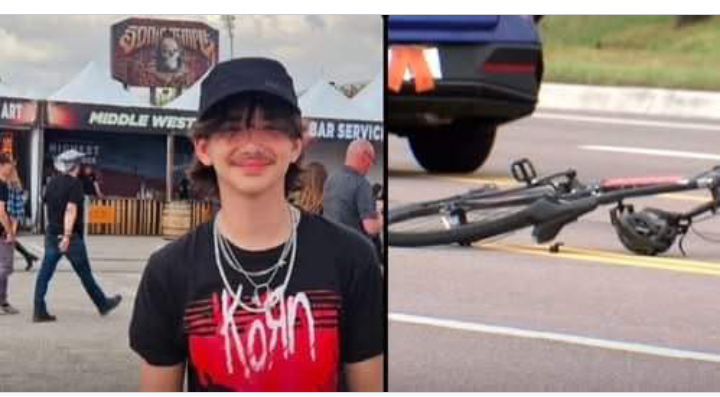 Dunedin Community Mourns Loss of 15-Year-Old Student Viktor Raka After Bicycle Crash