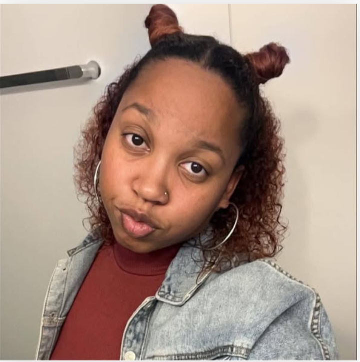 Gurnee Illinois Tragedy: Bria Allen, 29, Loses Life in Devastating Head-On Collision