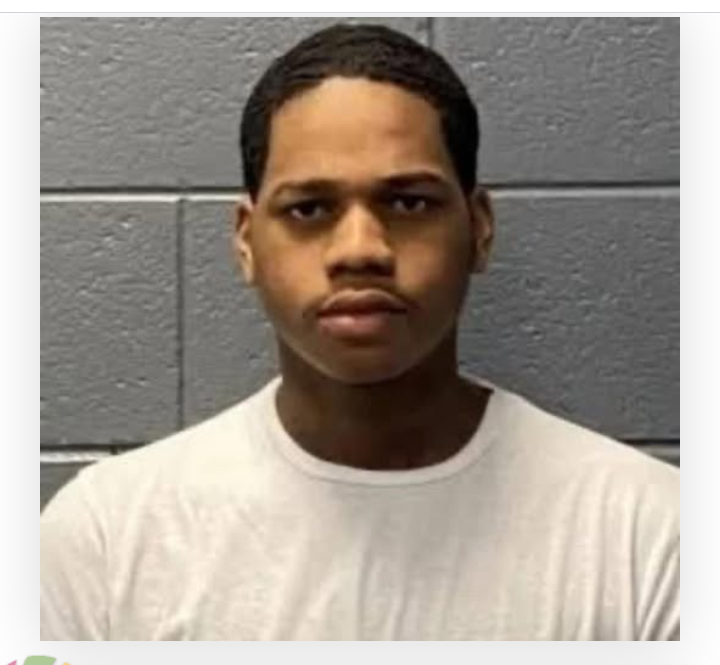 Newport News, Virginia – Arthur Jackson Homicide: Son Arrested After Fatal Stabbing, Shooting Incident